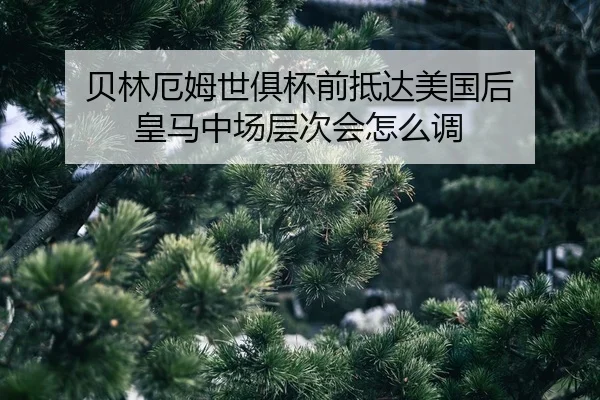 bei-lin-e-mu-shi-ju-bei-qian-di-da-mei-guo-hou-huang-ma-zhong-chang-ceng-ci-hui-zen-me-diao-2-750.jpg