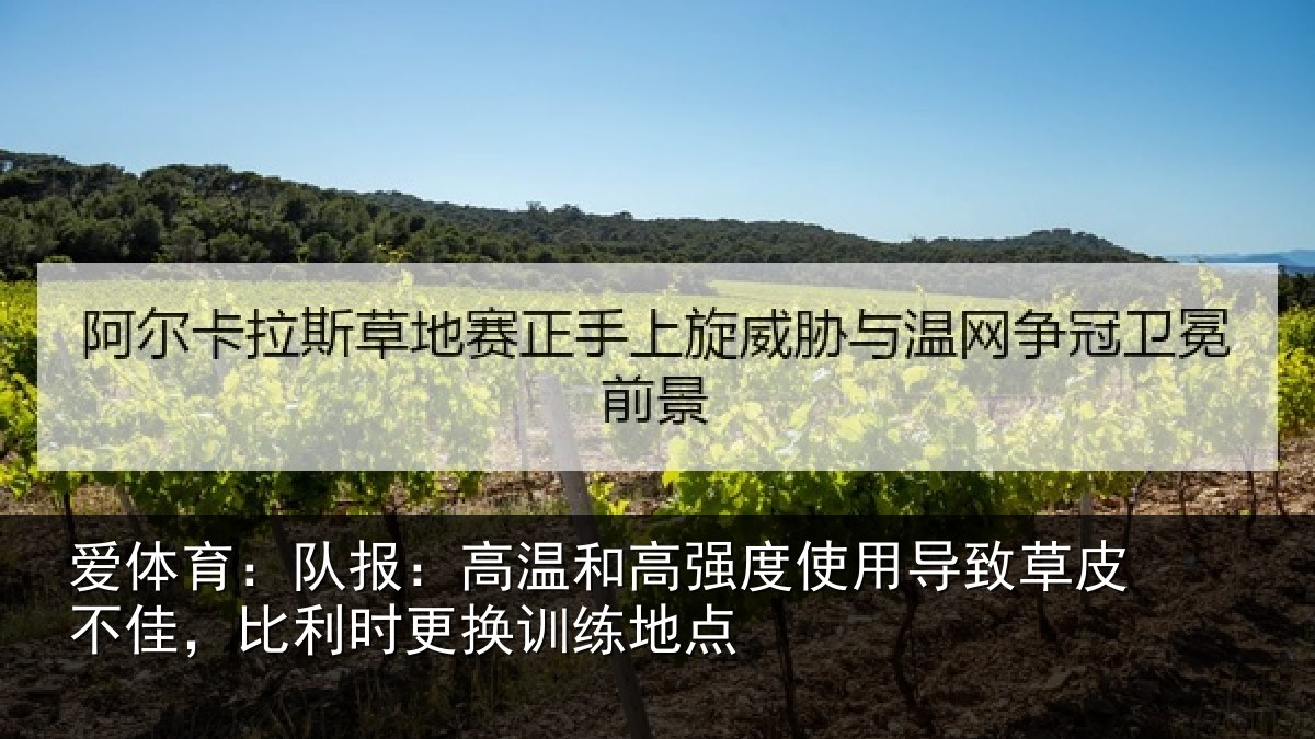 爱体育：队报：高温和高强度使用导致草皮不佳，比利时更换训练地点