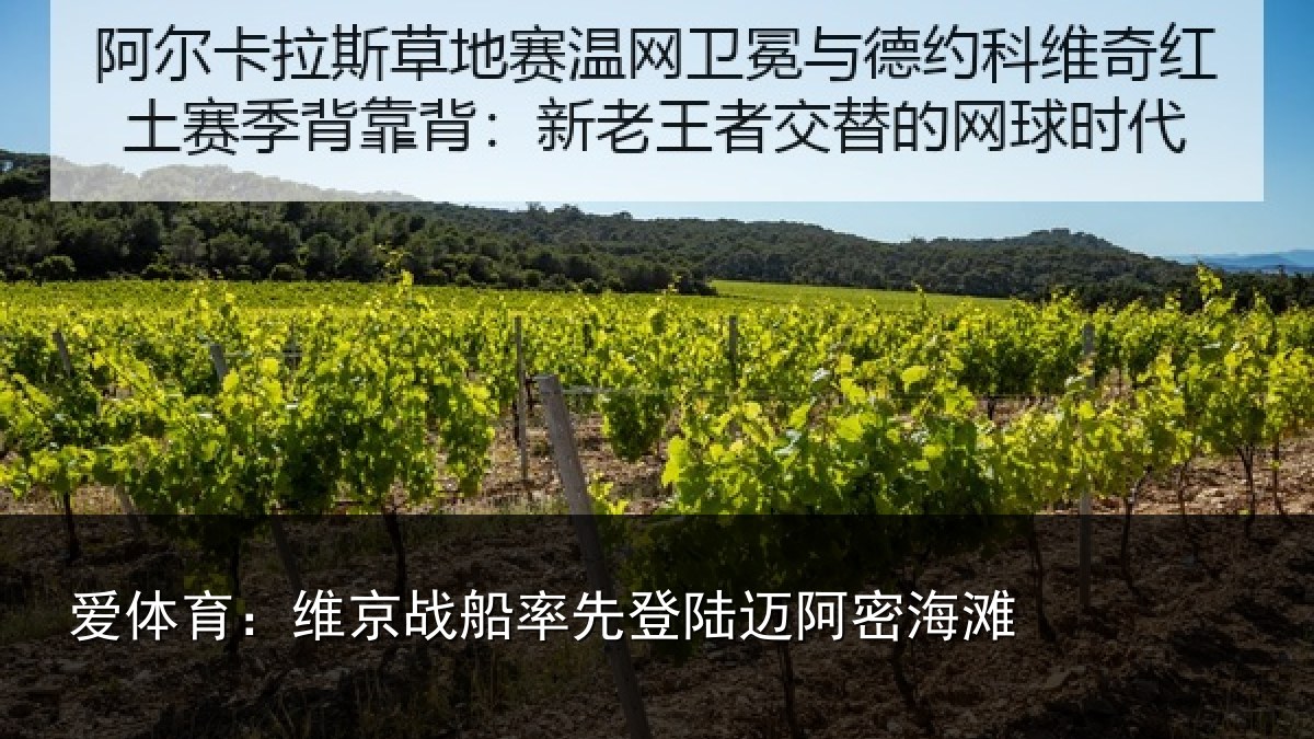 爱体育：维京相关情况密海滩