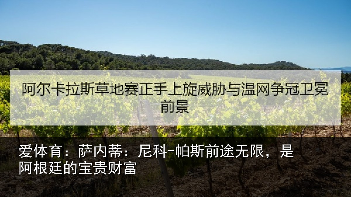 爱体育：萨内蒂：尼科-帕斯前途无限，是阿根廷的宝贵财富