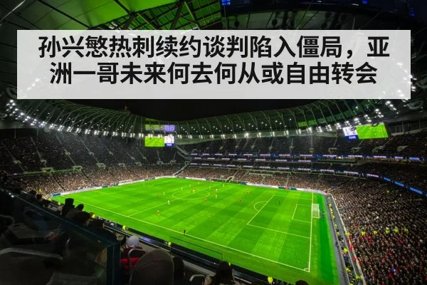 Tottenham Hotspur stadium