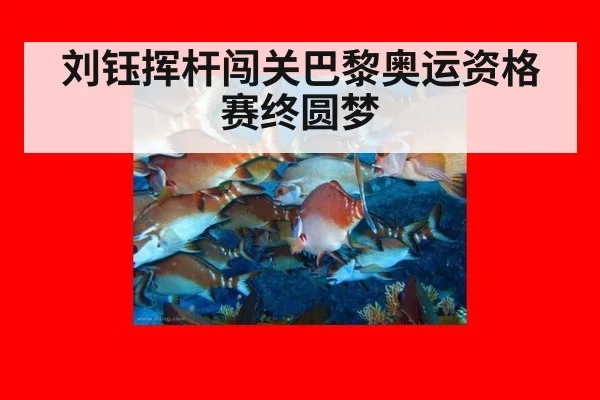 刘钰挥杆闯关巴黎奥运资格赛终圆梦